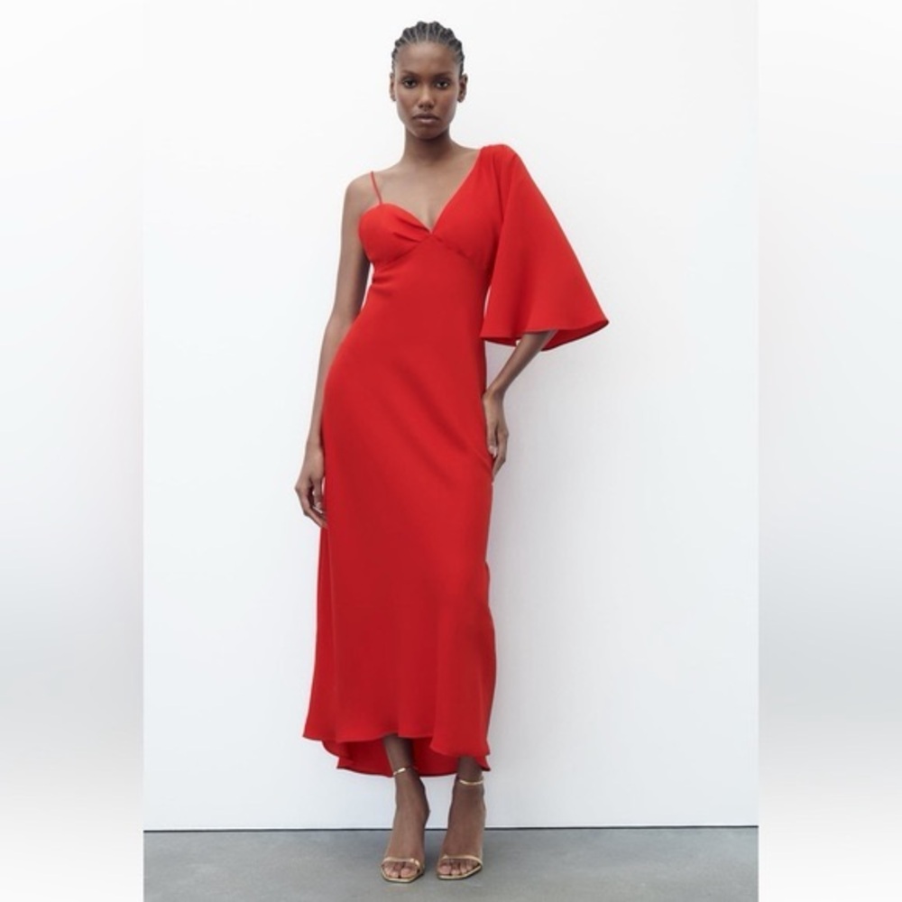 Zara | dress